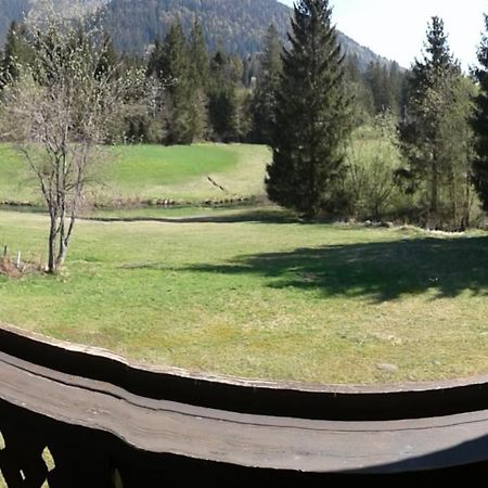 Fewo Reinhard Appartamento Faistenau Esterno foto